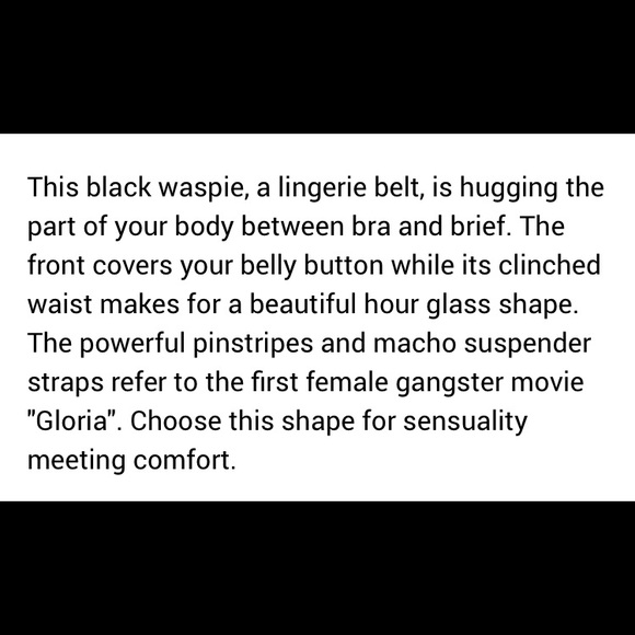 Garter Belt / Waist Cincher /Waspie NWT - Picture 7 of 10